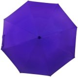 Flipkart SmartBuy 2 fold Auto Open Polyester Umbrella(Violet)